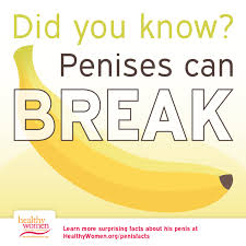 Penis Facts
